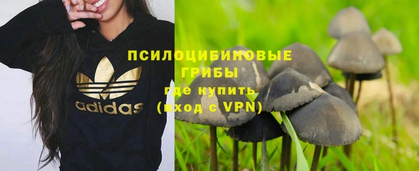 винт Козельск