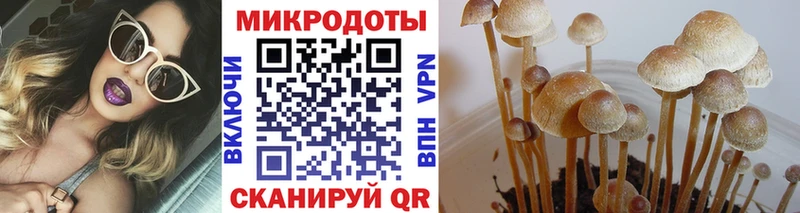 Галлюциногенные грибы мицелий Белёв