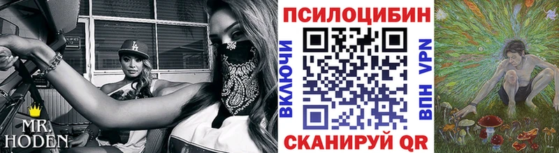 Псилоцибиновые грибы мухоморы  Купить где  Белёв 